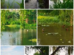 -南通濠河风景名胜区