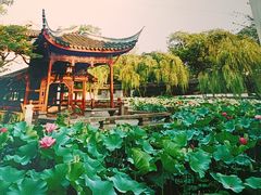 -苏州园林博物馆