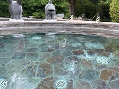 -中家鑫园温泉酒店鑫悦汤泉