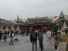 -安多素食(广仁寺路店)