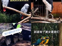 -云南野生动物园