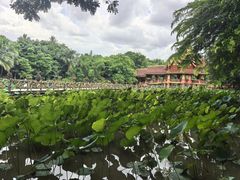 -曼听御花园