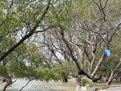 -宝安西湾红树林湿地公园
