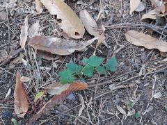 -南京金牛湖风景区
