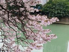 -红星桥(地铁站)