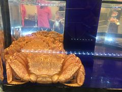 -蟹道乐(道顿堀本店)