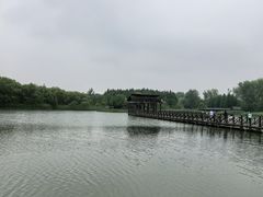 -溱湖国家湿地公园