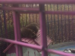 -萌宠亲子动物乐园(槐房万达店)