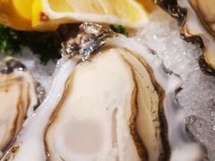 -囧吉香生蚝牛排馆(湖北路店)