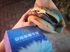 -麦当劳(新洲南路店)