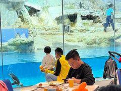 -帝企鹅自助餐厅•儿童岛•真企鹅(长隆企鹅酒店)