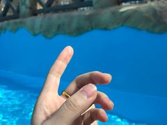 -青岛东方影都融创水世界