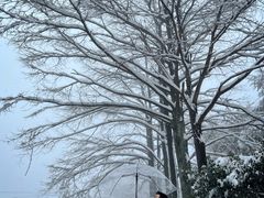 -四明山国家森林公园