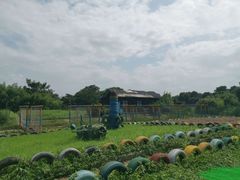 -中国扬子鳄村