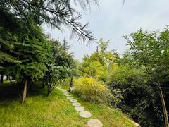-观唐（国际）度假村温泉
