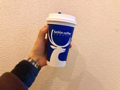 -瑞幸咖啡(惠州港惠新天地店)