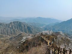 -大岭沟猕猴桃谷风景区