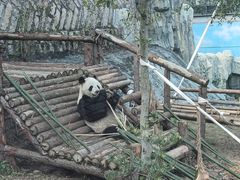 -泉州海丝野生动物世界