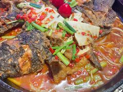 -老板恋上鱼(恒隆广场店)