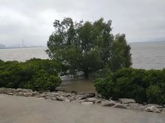 -深圳湾公园(南山区)