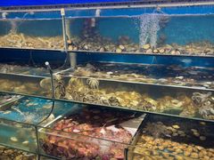 -仙螺岛海鲜自助餐厅(总店)