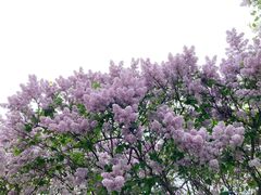 -长椿街(地铁站)