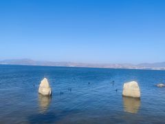 -洱海月湿地公园