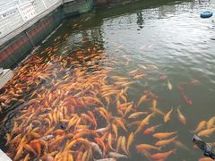 -长春市南湖公园