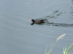 -广州都喜泰丽温泉度假酒店