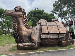 -华夏文旅海洋公园