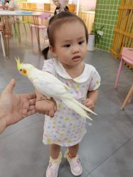 -Moni星球萌宠·小马宝莉·灵蛇·高端高阶全萌宠互动体验俱乐部(红豆国际广场店)