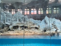 -帝企鹅自助餐厅•儿童岛•真企鹅(长隆企鹅酒店)