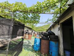 -东湖小天池真人CS彩弹野战基地