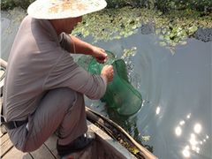-阳澄湖大闸蟹·琼灵阁牌品牌连锁(吴中总店)