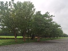 -汉长安城未央宫国家考古遗址公园