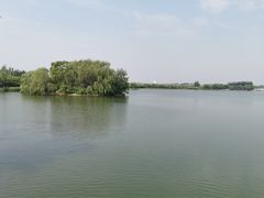 -大兴滨河森林公园