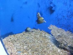 -北海·海洋之窗
