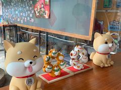 -柴犬高等学院·狗咖·柴犬售卖·宠物训练