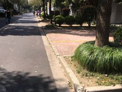 -张江微电子港·地面停车场