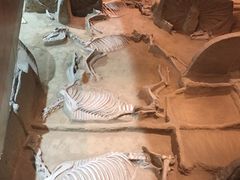 -洛阳周王城天子驾六博物馆