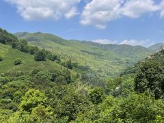-大余丫山旅游度假区