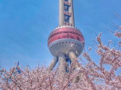 -东方明珠广播电视塔