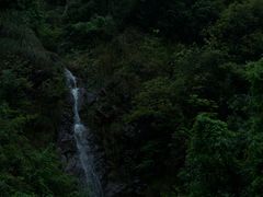 -大奇山国家森林公园