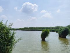 -西青郊野公园