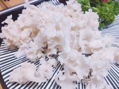 鲜甜绣球菌-湯系·煲汤手艺人(东二环泰禾广场店)