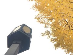 -苏州上方山国家森林公园