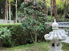 -深圳国际园林花卉博览园