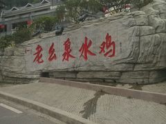 -老幺泉水鸡