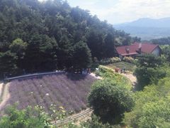 -云峰山自然风景区