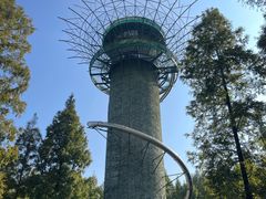 -黄海国家森林公园